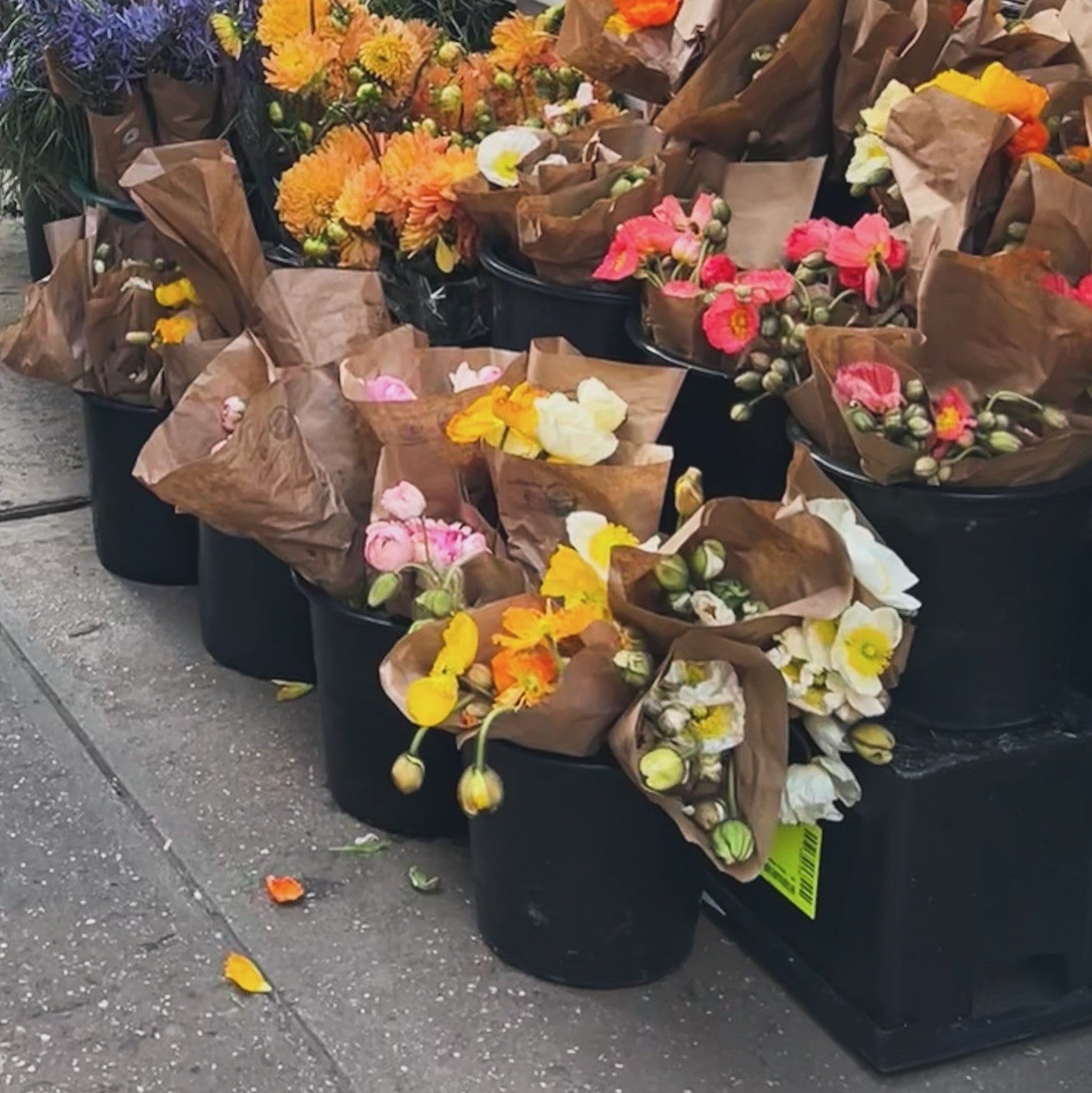 Flower Market