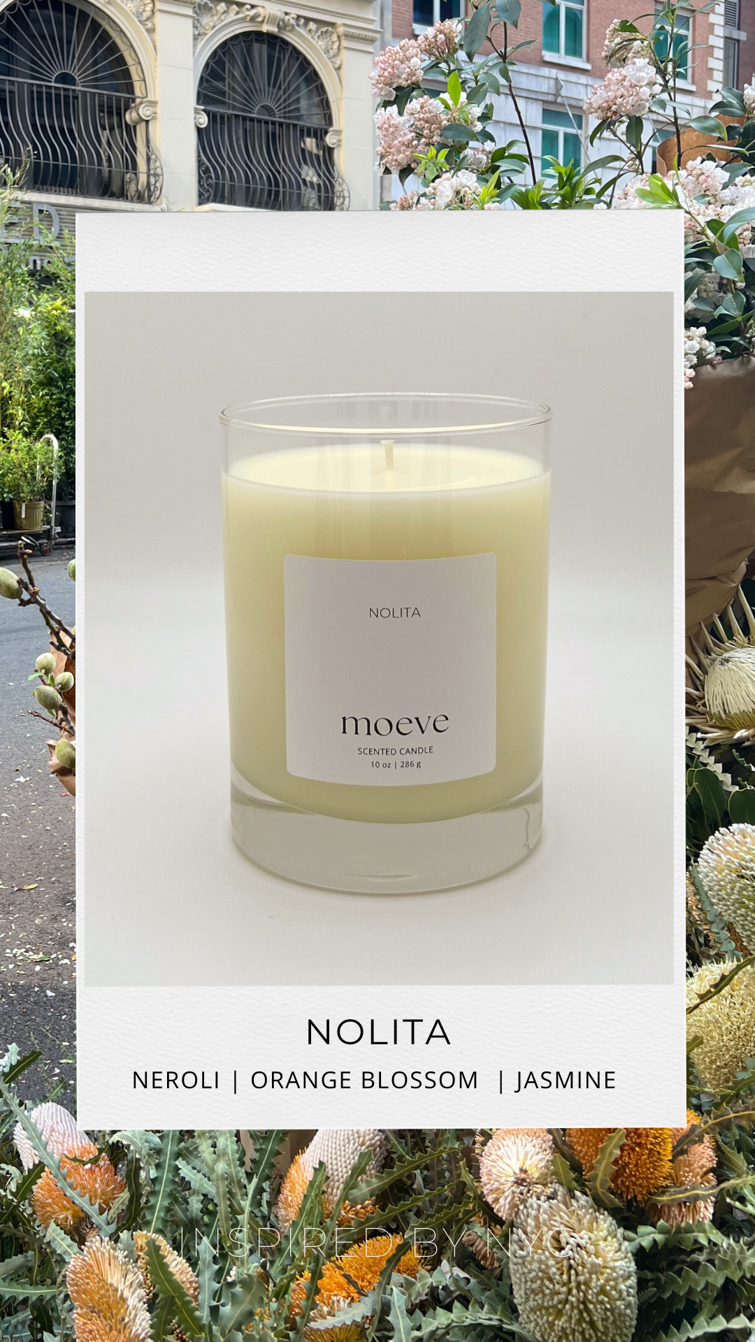 Nolita