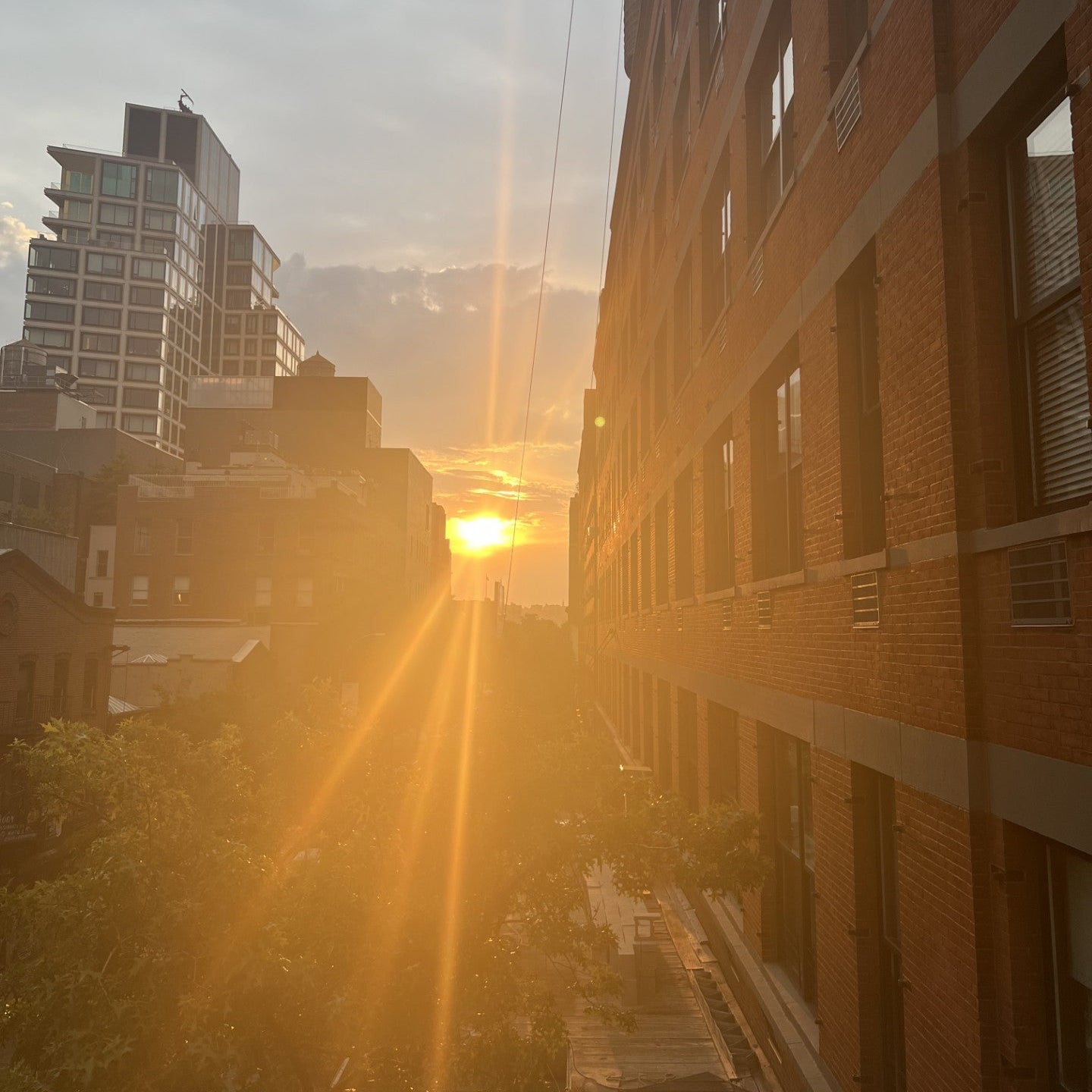 Nolita